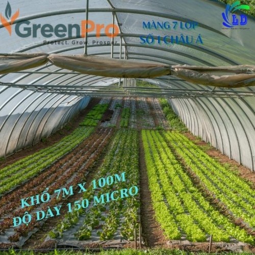 Màng Nhà Kính GreenPro 7 lớp khổ 7*100*150mic